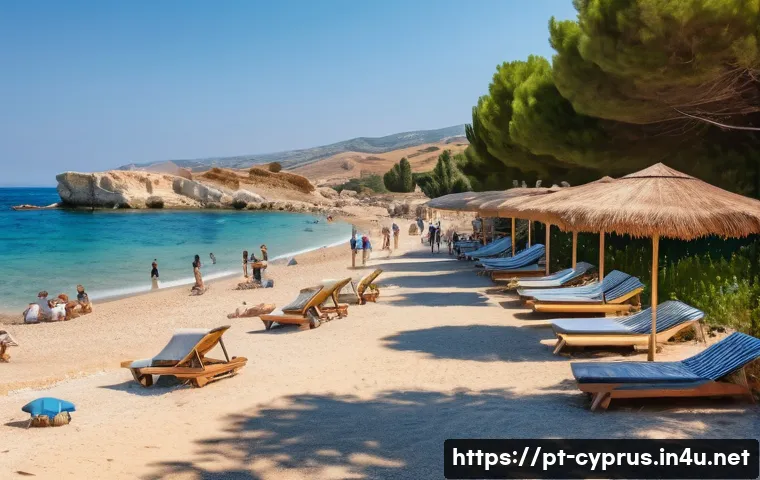 Descubra as regras essenciais para entrar em Chipre durante a pandemia e evite imprevistos 4 키프로스 입국 시 코로나 규정 관련 이미지 2